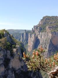 Les vases de Sèvres et de Chine Les vases de Sèvres et de Chine